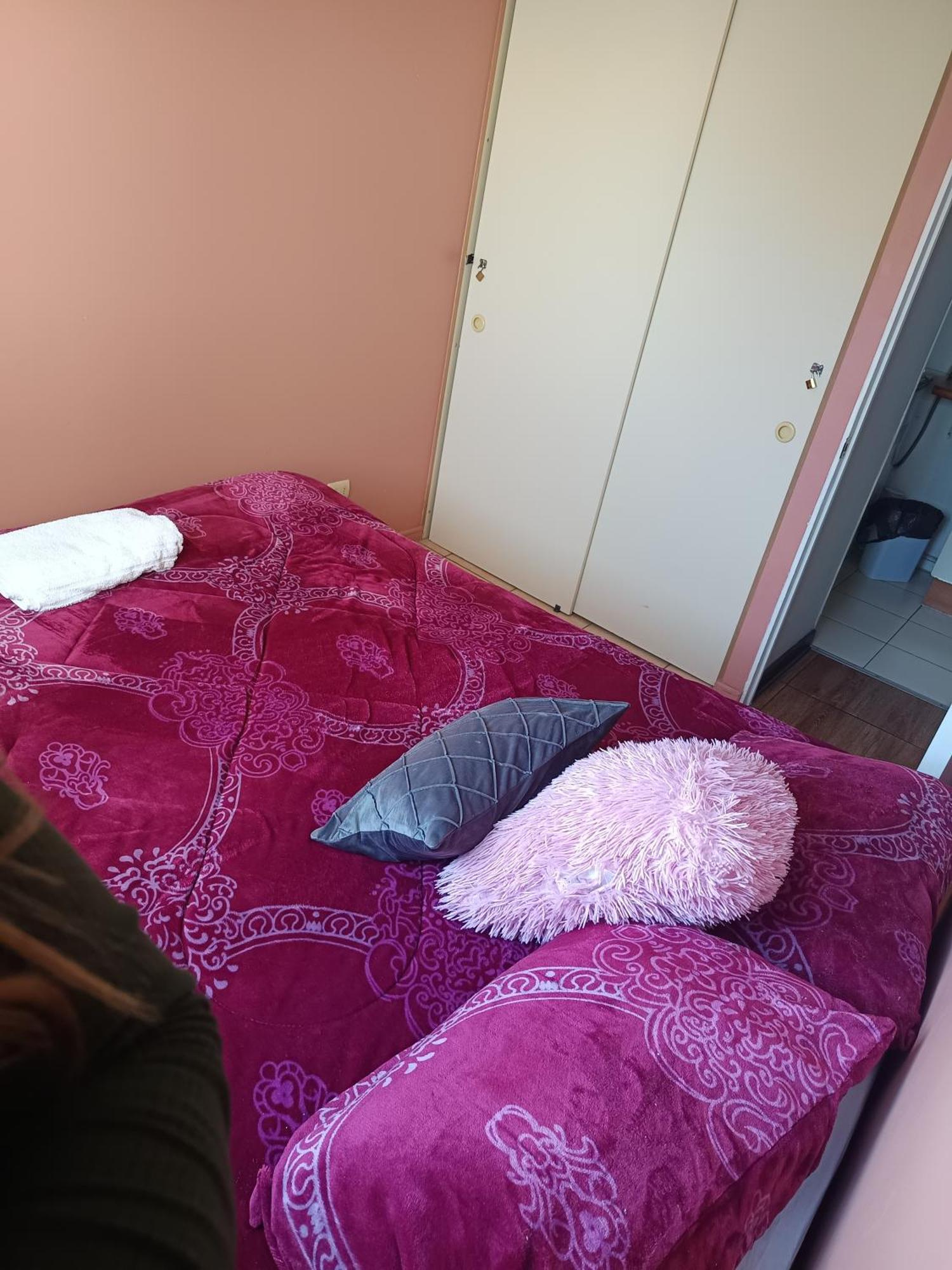 Departamento En Santiago Metro Nuble Apartment ภายนอก รูปภาพ